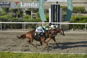 ΙΠΠΟΔΡΟΜΟΣ ΚΥΠΡΟΣ / IPPODROMOS KYPROS ΜΑΛΤΙΜΙΛΙΟΝΕΡ (MULTIMILIONER) - 06/08/2025