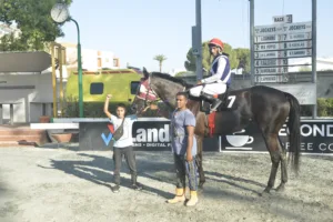 ΙΠΠΟΔΡΟΜΟΣ ΚΥΠΡΟΣ / IPPODROMOS KYPROS ΜΠΕΚΑ ΠΟΗΝΤ (BECCA POINT) - 08/08/2025