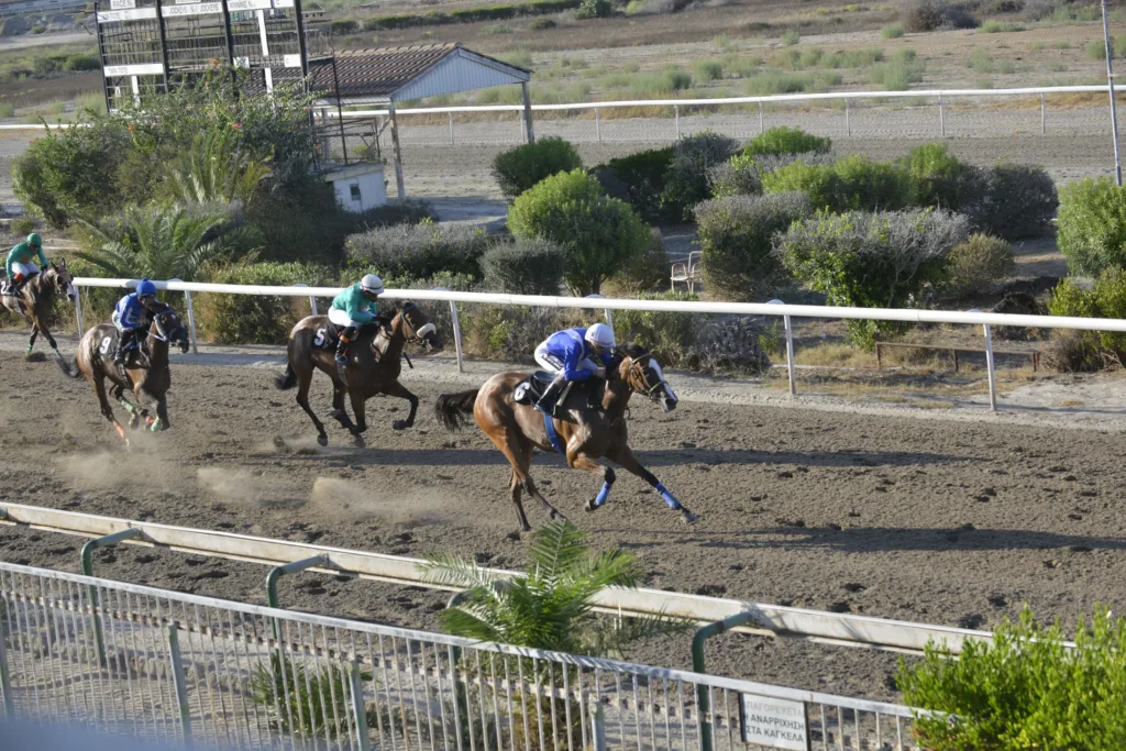 ΙΠΠΟΔΡΟΜΟΣ ΚΥΠΡΟΣ / IPPODROMOS KYPROS ΓΡΙΛΑΝΔΙΑ (GRINALNDIA) - 08/08/2025