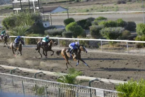 ΙΠΠΟΔΡΟΜΟΣ ΚΥΠΡΟΣ / IPPODROMOS KYPROS ΓΡΙΛΑΝΔΙΑ (GRINALNDIA) - 08/08/2025