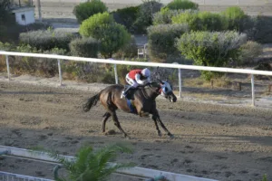 ΙΠΠΟΔΡΟΜΟΣ ΚΥΠΡΟΣ / IPPODROMOS KYPROS ΛΕΥΤΕΡΙΑ (LEFTERIA) - 29/08/2025