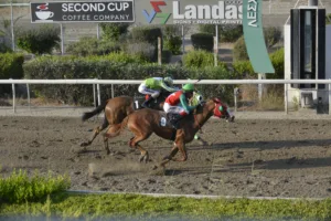 ΙΠΠΟΔΡΟΜΟΣ ΚΥΠΡΟΣ / IPPODROMOS KYPROS ΒΕΣΕΛΙΝΑ ΤΑΠ (VESELINA TAP) - 01/08/2025