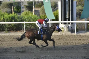 ΙΠΠΟΔΡΟΜΟΣ ΚΥΠΡΟΣ / IPPODROMOS KYPROS ΛΕΥΤΕΡΙΑ (LEFTERIA) - 29/08/2025