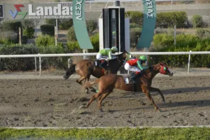 ΙΠΠΟΔΡΟΜΟΣ ΚΥΠΡΟΣ / IPPODROMOS KYPROS ΒΕΣΕΛΙΝΑ ΤΑΠ (VESELINA TAP) - 01/08/2025