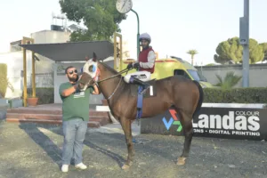 ΙΠΠΟΔΡΟΜΟΣ ΚΥΠΡΟΣ / IPPODROMOS KYPROS ΛΕΥΤΕΡΙΑ (LEFTERIA) - 29/08/2025