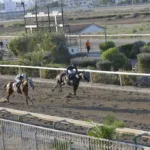 ΙΠΠΟΔΡΟΜΟΣ ΚΥΠΡΟΣ / IPPODROMOS KYPROS ΑΙΜΟΒΟΡΟΣ (EMOVOROS) - 06/08/2025