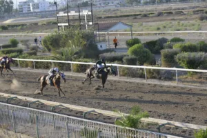 ΙΠΠΟΔΡΟΜΟΣ ΚΥΠΡΟΣ / IPPODROMOS KYPROS ΑΙΜΟΒΟΡΟΣ (EMOVOROS) - 06/08/2025