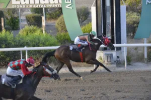 ΙΠΠΟΔΡΟΜΟΣ ΚΥΠΡΟΣ / IPPODROMOS KYPROS ΣΑΓΚΑ (SAGA) - 29/08/2025