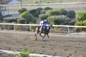 ΙΠΠΟΔΡΟΜΟΣ ΚΥΠΡΟΣ / IPPODROMOS KYPROS ΣΟΥΗΤ ΕΥΑ (SWEET EVA) - 08/08/2025
