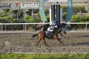 ΙΠΠΟΔΡΟΜΟΣ ΚΥΠΡΟΣ / IPPODROMOS KYPROS ΑΙΜΟΒΟΡΟΣ (EMOVOROS) - 06/08/2025