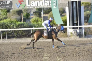 ΙΠΠΟΔΡΟΜΟΣ ΚΥΠΡΟΣ / IPPODROMOS KYPROS ΣΟΥΗΤ ΕΥΑ (SWEET EVA) - 08/08/2025