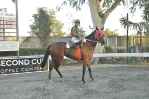 ΙΠΠΟΔΡΟΜΟΣ ΚΥΠΡΟΣ / IPPODROMOS KYPROS ΣΑΓΚΑ (SAGA) - 29/08/2025