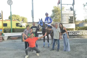 ΙΠΠΟΔΡΟΜΟΣ ΚΥΠΡΟΣ / IPPODROMOS KYPROS