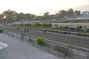 ΙΠΠΟΔΡΟΜΟΣ ΚΥΠΡΟΣ / IPPODROMOS KYPROS ΛΕΩΚΡΑΤΗΣ (LEOKRATIS) - 06/08/2025