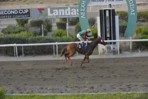 ΙΠΠΟΔΡΟΜΟΣ ΚΥΠΡΟΣ / IPPODROMOS KYPROS ΒΕΡΓΙΝΙΟΣ (VERGINIOS) - 01/08/2025