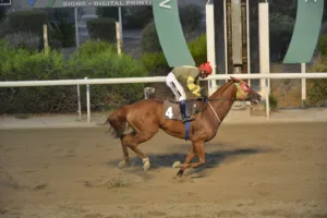 ΙΠΠΟΔΡΟΜΟΣ ΚΥΠΡΟΣ / IPPODROMOS KYPROS ΜΙΚΡΟΣ ΚΥΡΙΑΚΟΣ (MIKROS KYRIAKOS) - 29/08/2025