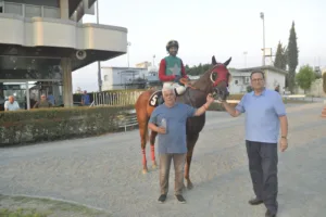 ΙΠΠΟΔΡΟΜΟΣ ΚΥΠΡΟΣ / IPPODROMOS KYPROS ΒΕΡΓΙΝΙΟΣ (VERGINIOS) - 01/08/2025