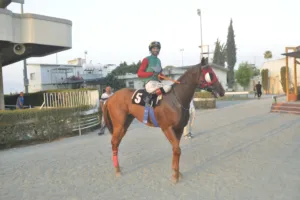 ΙΠΠΟΔΡΟΜΟΣ ΚΥΠΡΟΣ / IPPODROMOS KYPROS ΒΕΡΓΙΝΙΟΣ (VERGINIOS) - 01/08/2025