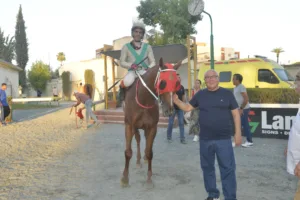 ΙΠΠΟΔΡΟΜΟΣ ΚΥΠΡΟΣ / IPPODROMOS KYPROS ΒΙΤΤΗΣ ΖΕΦΥΡΟΣ (VITTIS ZEPHYROS) 08/08/2025