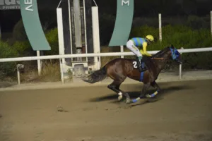 ΙΠΠΟΔΡΟΜΟΣ ΚΥΠΡΟΣ / IPPODROMOS KYPROS ΚΡΙΣΤΙΑΝ (CHRISTIAN) - 29/08/2025