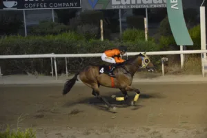 ΙΠΠΟΔΡΟΜΟΣ ΚΥΠΡΟΣ / IPPODROMOS KYPROS ΠΑΘ ΟΦ ΓΚΟΛΤ (PATH OF GOLD) - 08/08/2025