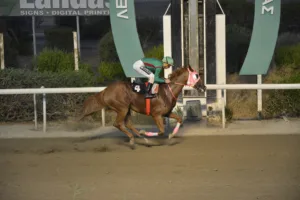 ΙΠΠΟΔΡΟΜΟΣ ΚΥΠΡΟΣ / IPPODROMOS KYPROS ΣΑΝΤΥ ΜΠΕΛ (SANDY BELL) - 01/08/2025