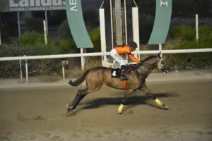 ΙΠΠΟΔΡΟΜΟΣ ΚΥΠΡΟΣ / IPPODROMOS KYPROS ΠΑΘ ΟΦ ΓΚΟΛΤ (PATH OF GOLD) - 08/08/2025