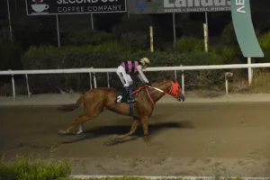 ΙΠΠΟΔΡΟΜΟΣ ΚΥΠΡΟΣ / IPPODROMOS KYPROS ΠΑΠΑΝΔΡΕΑΣ (PAPANDREAS) - 08/08/2025