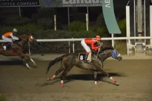 ΙΠΠΟΔΡΟΜΟΣ ΚΥΠΡΟΣ / IPPODROMOS KYPROS ΒΑΛΕΣΙΑ (VALESIA) - 01/08/2025