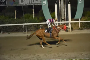 ΙΠΠΟΔΡΟΜΟΣ ΚΥΠΡΟΣ / IPPODROMOS KYPROS ΠΑΠΑΝΔΡΕΑΣ (PAPANDREAS) - 08/08/2025