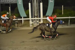 ΙΠΠΟΔΡΟΜΟΣ ΚΥΠΡΟΣ / IPPODROMOS KYPROS ΒΑΛΕΣΙΑ (VALESIA) - 01/08/2025