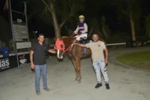 ΙΠΠΟΔΡΟΜΟΣ ΚΥΠΡΟΣ / IPPODROMOS KYPROS ΠΑΠΑΝΔΡΕΑΣ (PAPANDREAS) - 08/08/2025