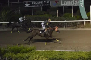 ΙΠΠΟΔΡΟΜΟΣ ΚΥΠΡΟΣ / IPPODROMOS KYPROS GOLD RUSS ΓΚΟΛΝΤ ΡΑΣΣ - 06/08/2025