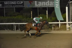 ΙΠΠΟΔΡΟΜΟΣ ΚΥΠΡΟΣ / IPPODROMOS KYPROS ΧΑΒΑΗ ΛΑΙΟΝ (HAWAII LION) - 08/082025