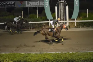 ΙΠΠΟΔΡΟΜΟΣ ΚΥΠΡΟΣ / IPPODROMOS KYPROS GOLD RUSS ΓΚΟΛΝΤ ΡΑΣΣ - 06/08/2025