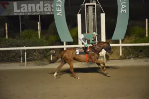 ΙΠΠΟΔΡΟΜΟΣ ΚΥΠΡΟΣ / IPPODROMOS KYPROS ΧΑΒΑΗ ΛΑΙΟΝ (HAWAII LION) - 08/082025