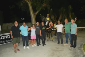 ΙΠΠΟΔΡΟΜΟΣ ΚΥΠΡΟΣ / IPPODROMOS KYPROS GOLD RUSS ΓΚΟΛΝΤ ΡΑΣΣ - 06/08/2025