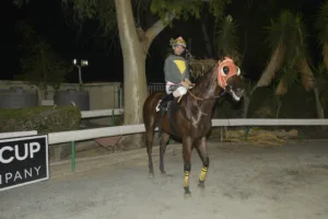 ΙΠΠΟΔΡΟΜΟΣ ΚΥΠΡΟΣ / IPPODROMOS KYPROS GOLD RUSS ΓΚΟΛΝΤ ΡΑΣΣ - 06/08/2025