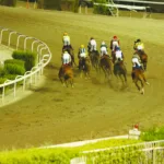 ΙΠΠΟΔΡΟΜΟΣ ΚΥΠΡΟΣ / IPPODROMOS KYPROS