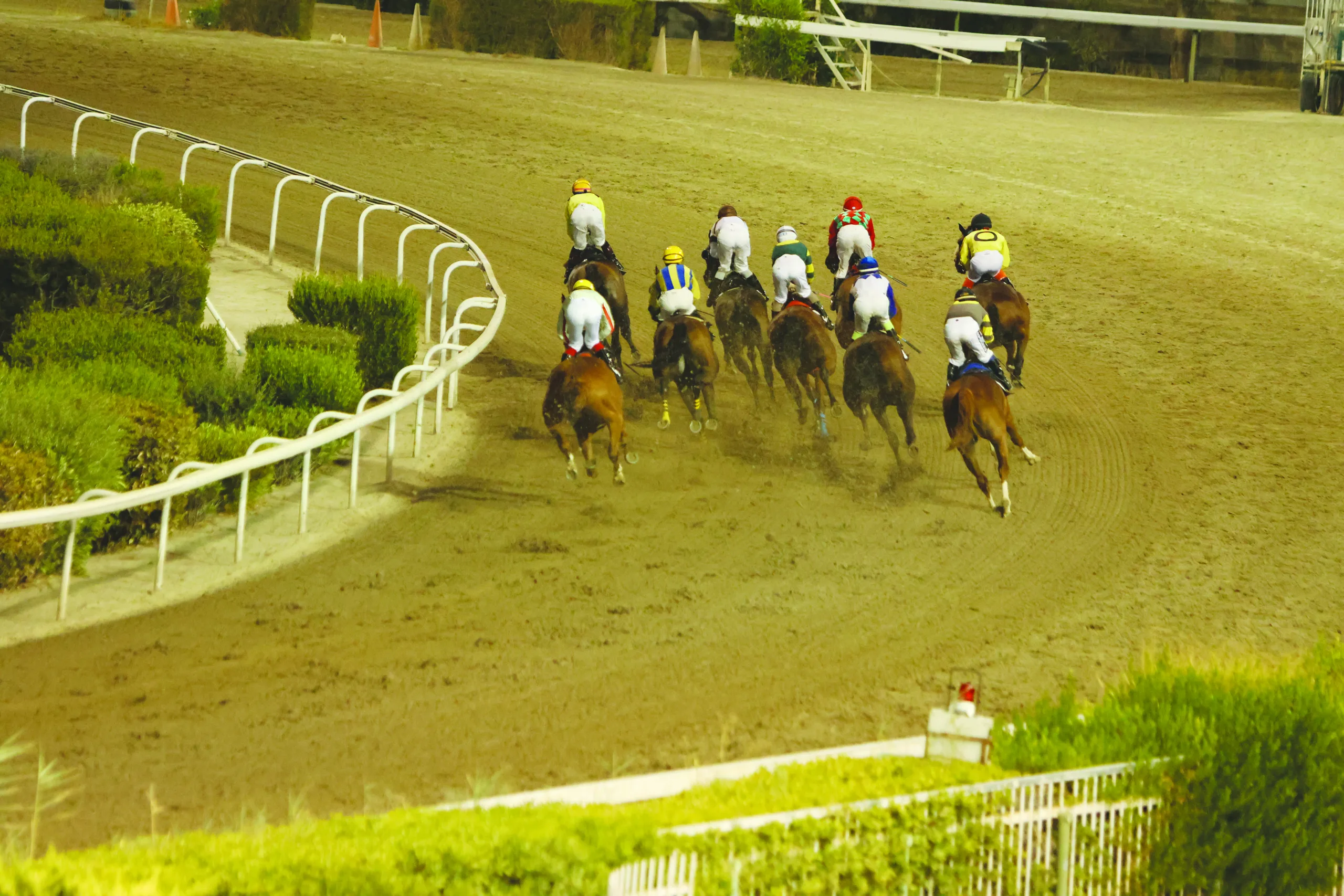 Οι αποζημιώσεις ήταν €428.000 1 ΙΠΠΟΔΡΟΜΟΣ ΚΥΠΡΟΣ / IPPODROMOS KYPROS