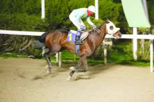 ΙΠΠΟΔΡΟΜΟΣ ΚΥΠΡΟΣ / IPPODROMOS KYPROS