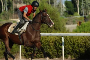 ΙΠΠΟΔΡΟΜΟΣ ΚΥΠΡΟΣ / IPPODROMOS KYPROS