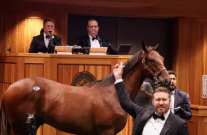 Fasig-Tipton δημοπρασία.