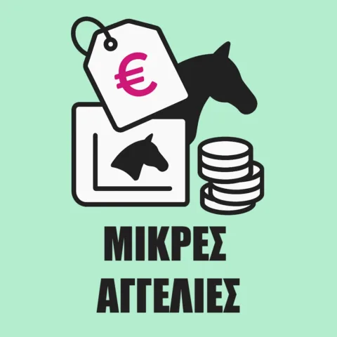 ΙΠΠΟΔΡΟΜΟΣ ΚΥΠΡΟΣ / IPPODROMOS KYPROS