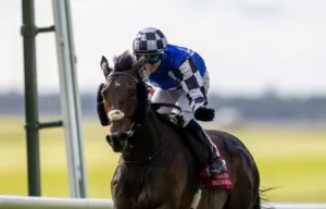 O Al Riffa στο Ιρλανδικό St Leger.