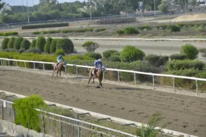 ΙΠΠΟΔΡΟΜΟΣ ΚΥΠΡΟΣ / IPPODROMOS KYPROS ΓΡΟΙΛΑΝΔΙΑ (GRILANDIA) - 07/09/2025