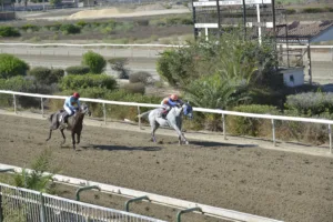 ΙΠΠΟΔΡΟΜΟΣ ΚΥΠΡΟΣ / IPPODROMOS KYPROS ΟΜΟΡΦΟΣ ΑΝΔΡΑΣ (OMORFOS ANDRAS) - 10/09/2025