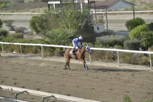 ΙΠΠΟΔΡΟΜΟΣ ΚΥΠΡΟΣ / IPPODROMOS KYPROS ΓΡΟΙΛΑΝΔΙΑ (GRILANDIA) - 07/09/2025