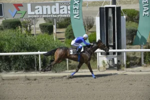 ΙΠΠΟΔΡΟΜΟΣ ΚΥΠΡΟΣ / IPPODROMOS KYPROS