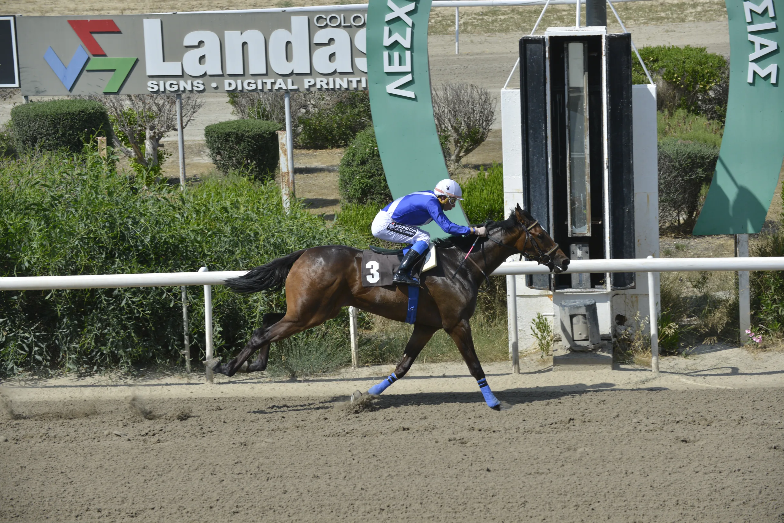Απεβίωσε ο διετής Σαν Αντρές 1 ΙΠΠΟΔΡΟΜΟΣ ΚΥΠΡΟΣ / IPPODROMOS KYPROS